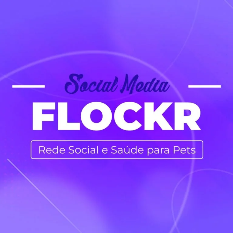 Projeto Flockr